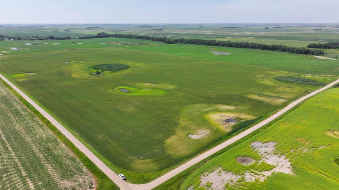 Benson County, ND Land Auction - 621± Acres