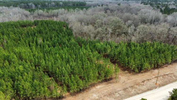 50 +/- Acres Harris Co. GA
