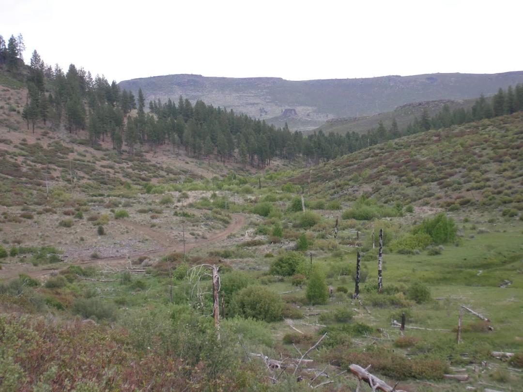 On Hill - Klamath County Oregon land - Camp RV build