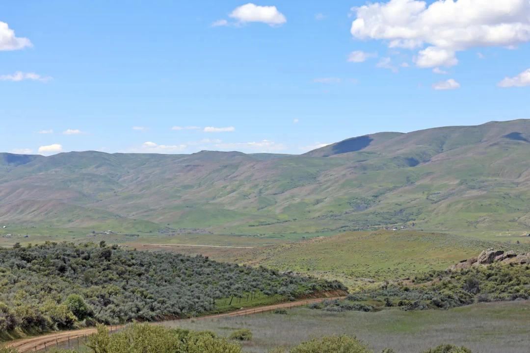 Ola Holbrook Ranch