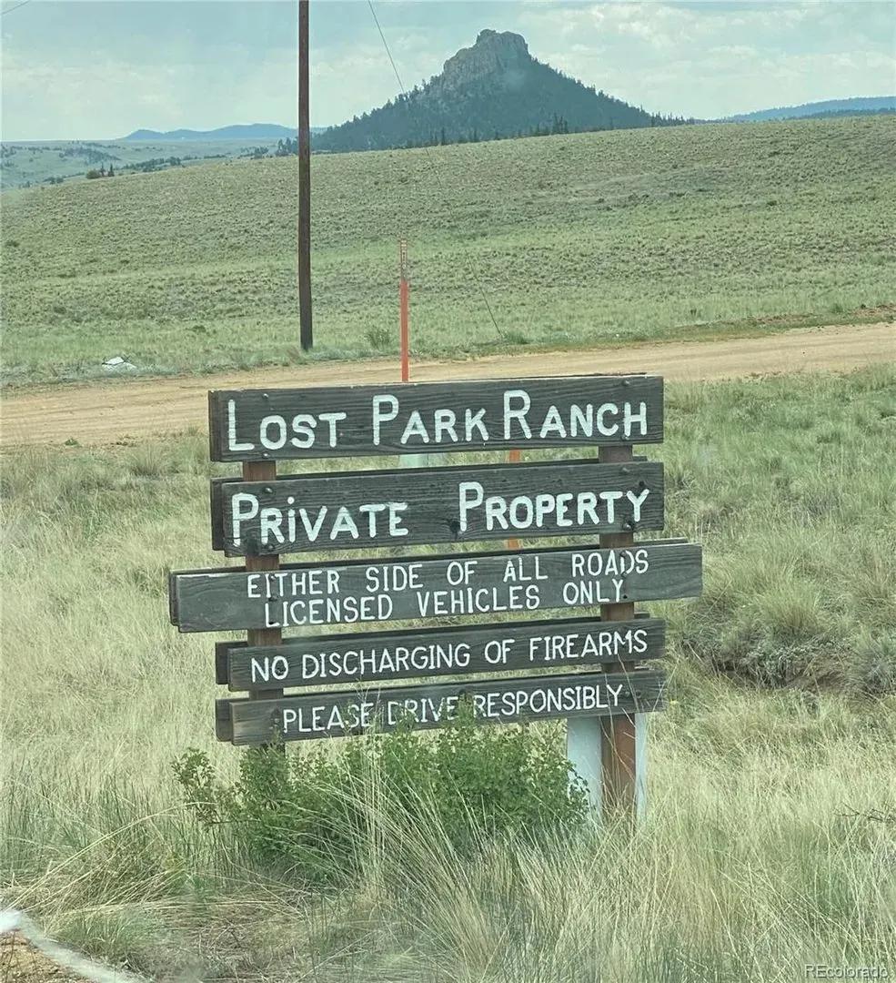 54170878-15