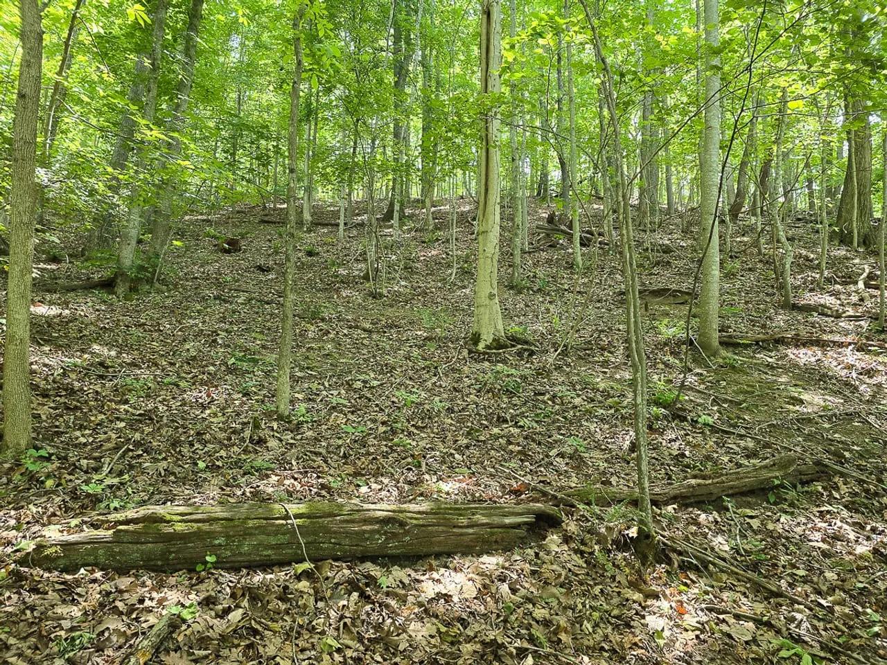 54178746-20