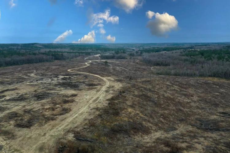 Wilkinson County Hunting & Recreation