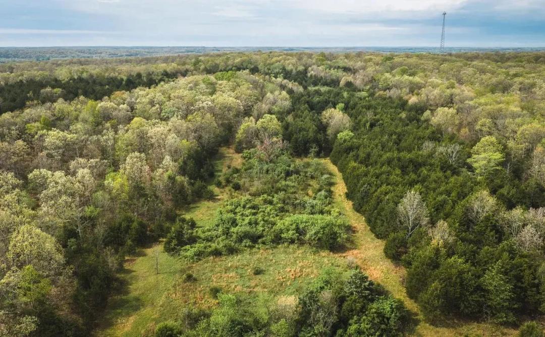 Cleavesville Road Farm Auction Tract 3
