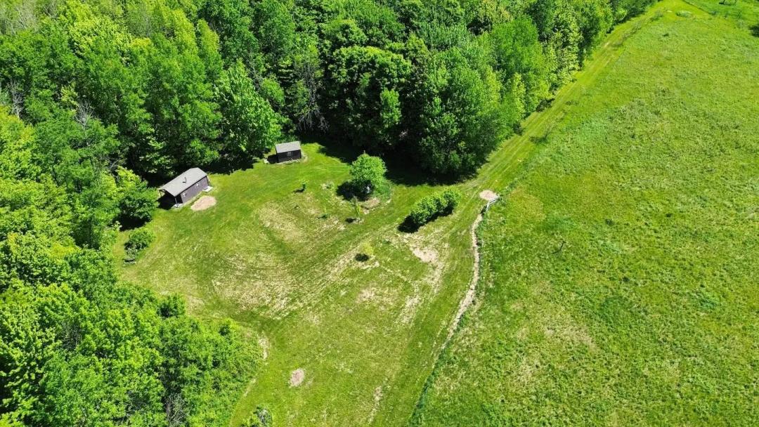 28 acres Off Grid Homestead with Woods and Fields bordering State Land in Summerhill NY Sprouls Rd
