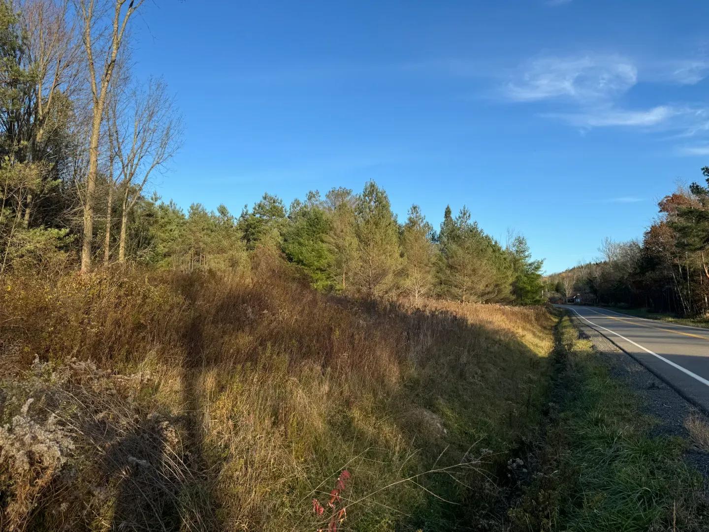 Erin Marsh Rd Lot 6 5