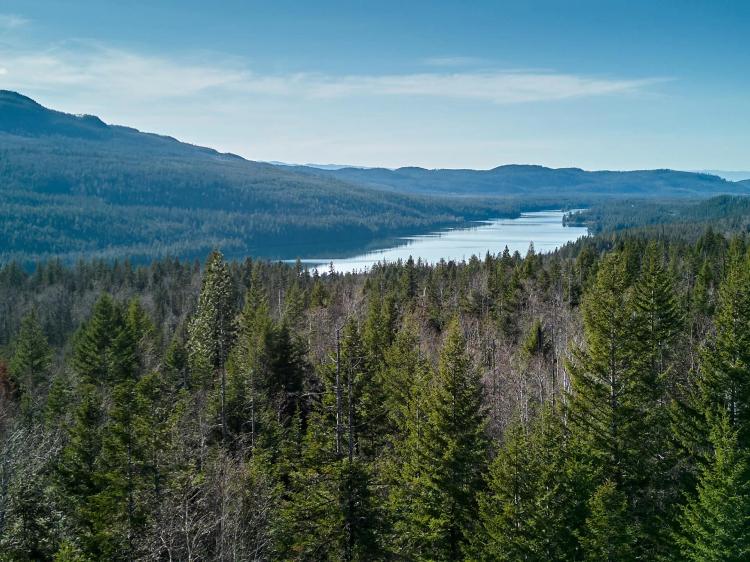 Swan Lake Overlook