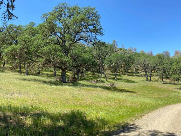 Christiansan Ranch-2146 Ac. NATIVE, UNDEVELOPED Ranchland w/ Putah Creek/Lake Berryessa Frontage