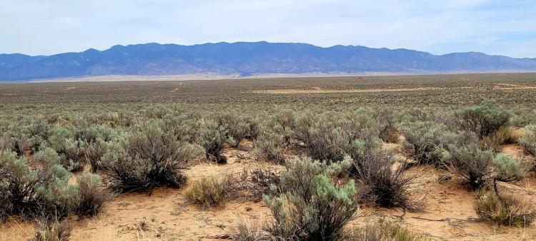 Belen New Mexico - Residential Building Lot - Mobiles OK