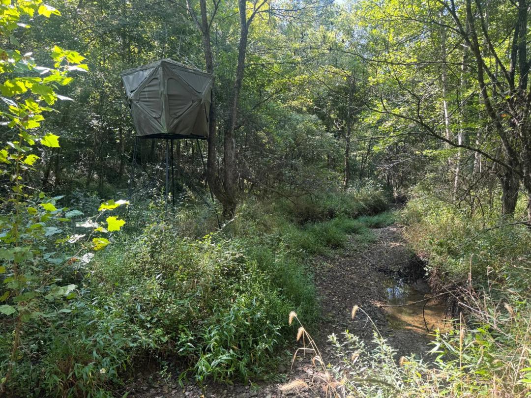 Secluded Southern Ohio Land | Hunting, Timber &amp; Recreation
