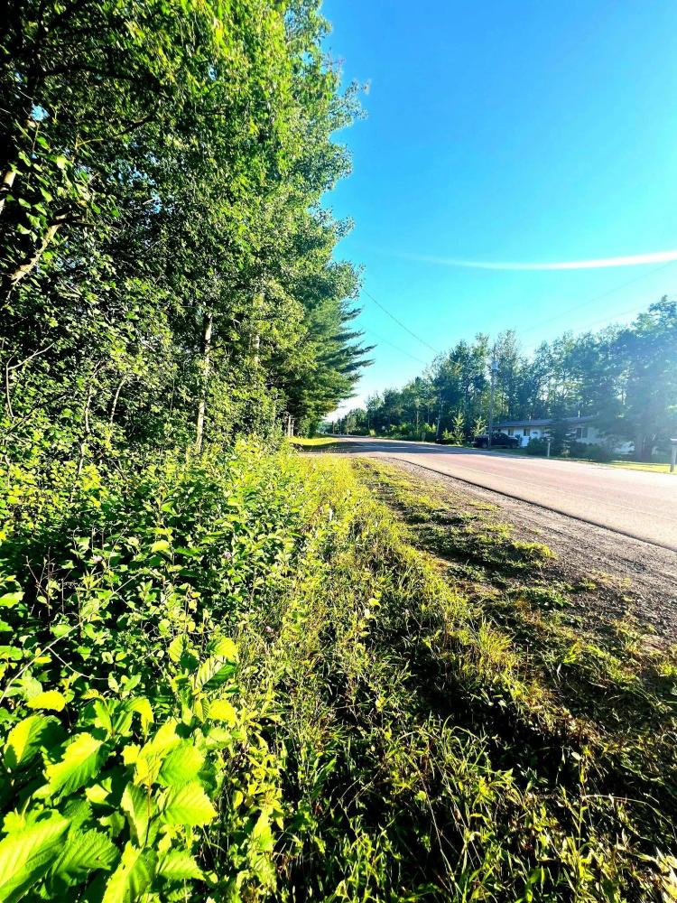 Land for sale near Houghton Michigan