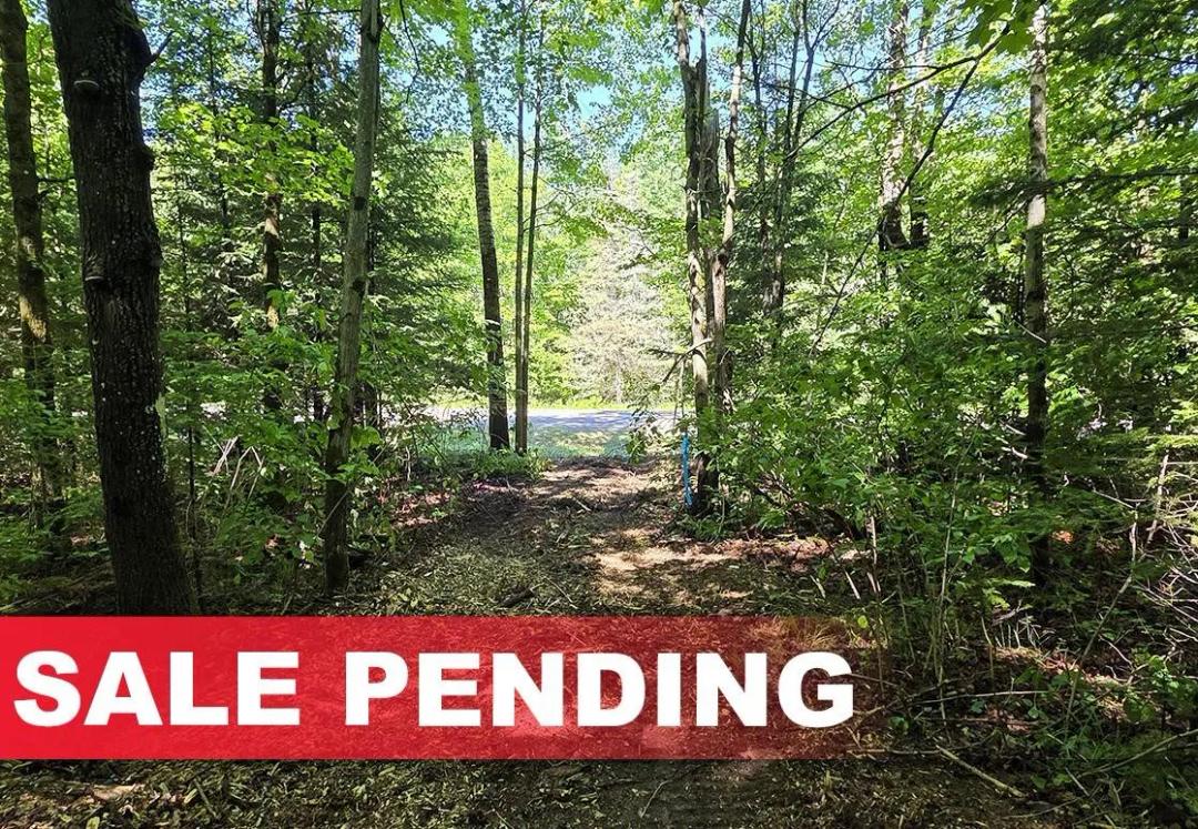 10 Acres with 395 Ft. of Somo River Frontage - Northwoods Escape