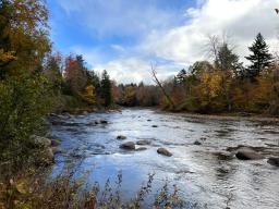 Cedar River Lot 2_1