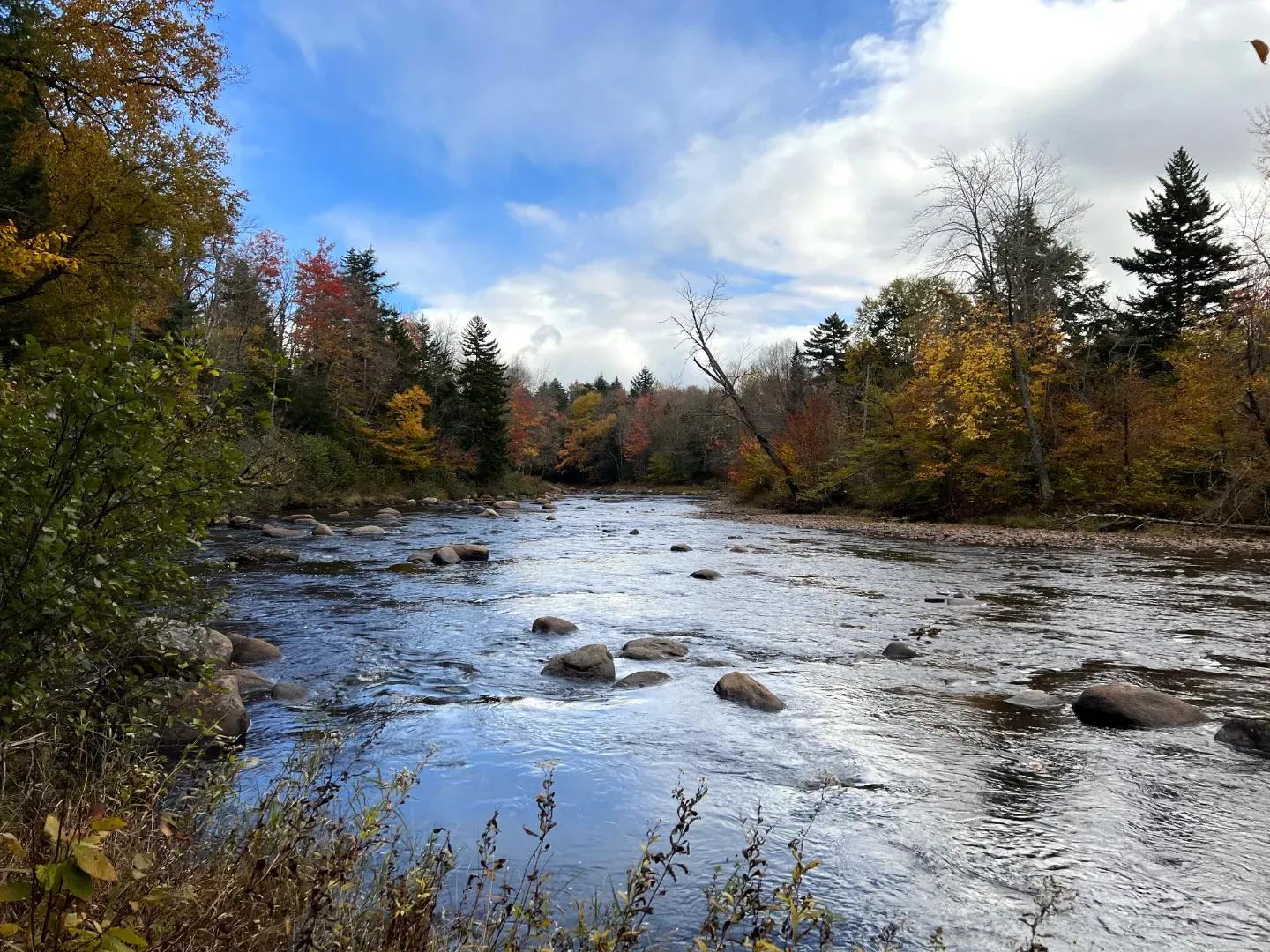 Cedar River Lot 2_1