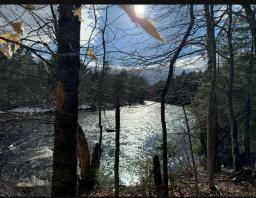 Cedar River Lot 2_10