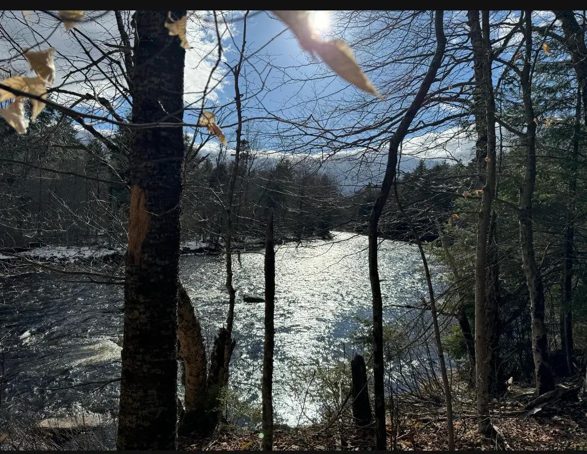 Cedar River Lot 2_10