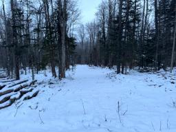 Cedar River Lot 2_11