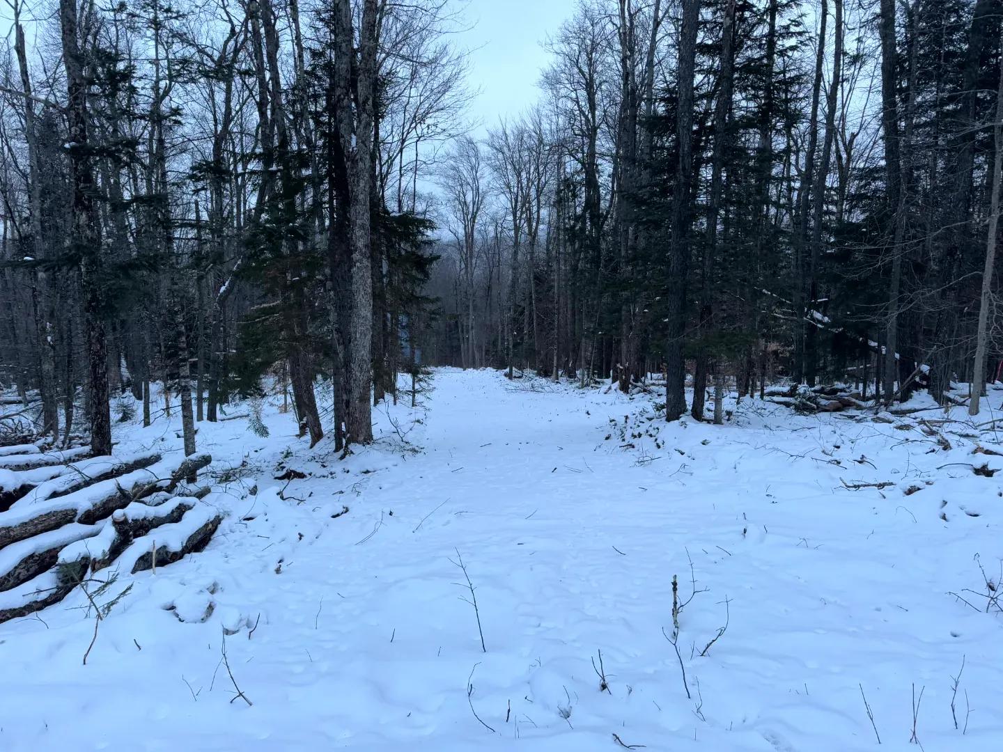 Cedar River Lot 2_11