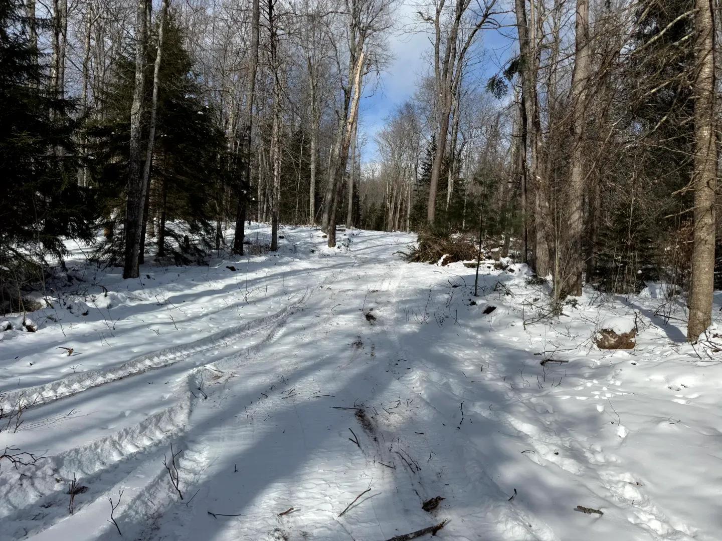 Cedar River Lot 2_12