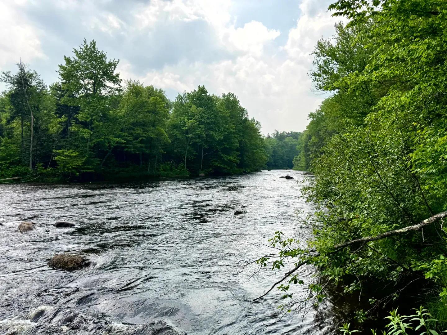 Cedar River Lot 2_13