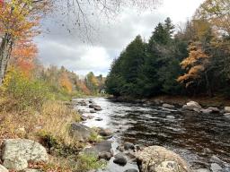 Cedar River Lot 2_2