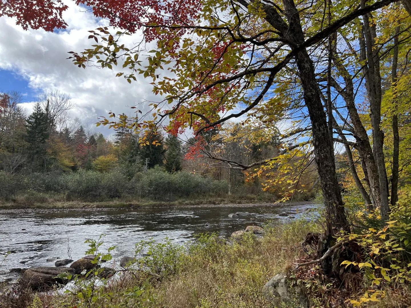 Cedar River Lot 2_3