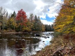 Cedar River Lot 2_4