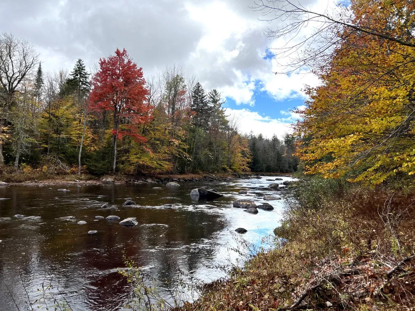 Cedar River Lot 2_4