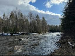 Cedar River Lot 2_5