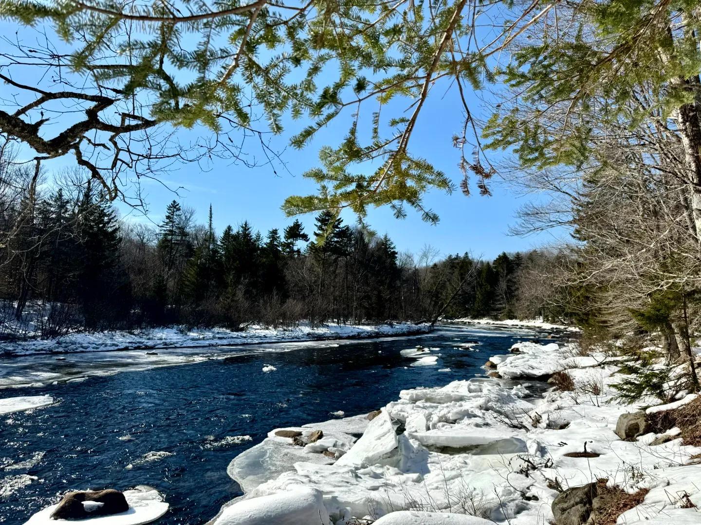 Cedar River Lot 2_6
