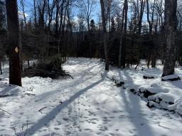 Cedar River Lot 2_8