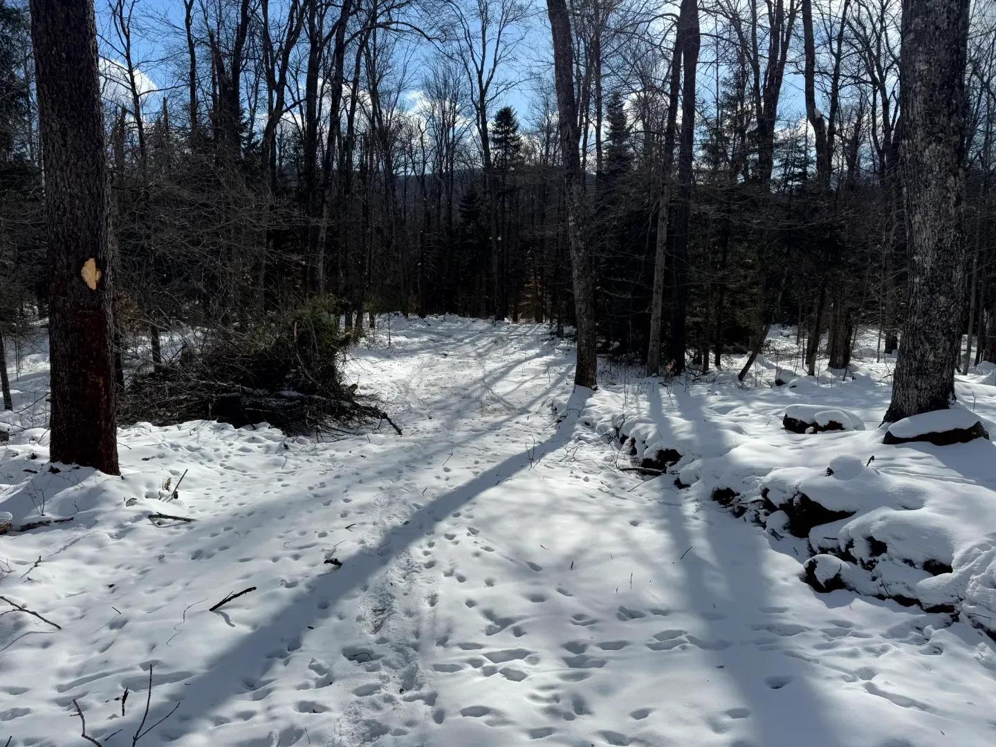 Cedar River Lot 2_8