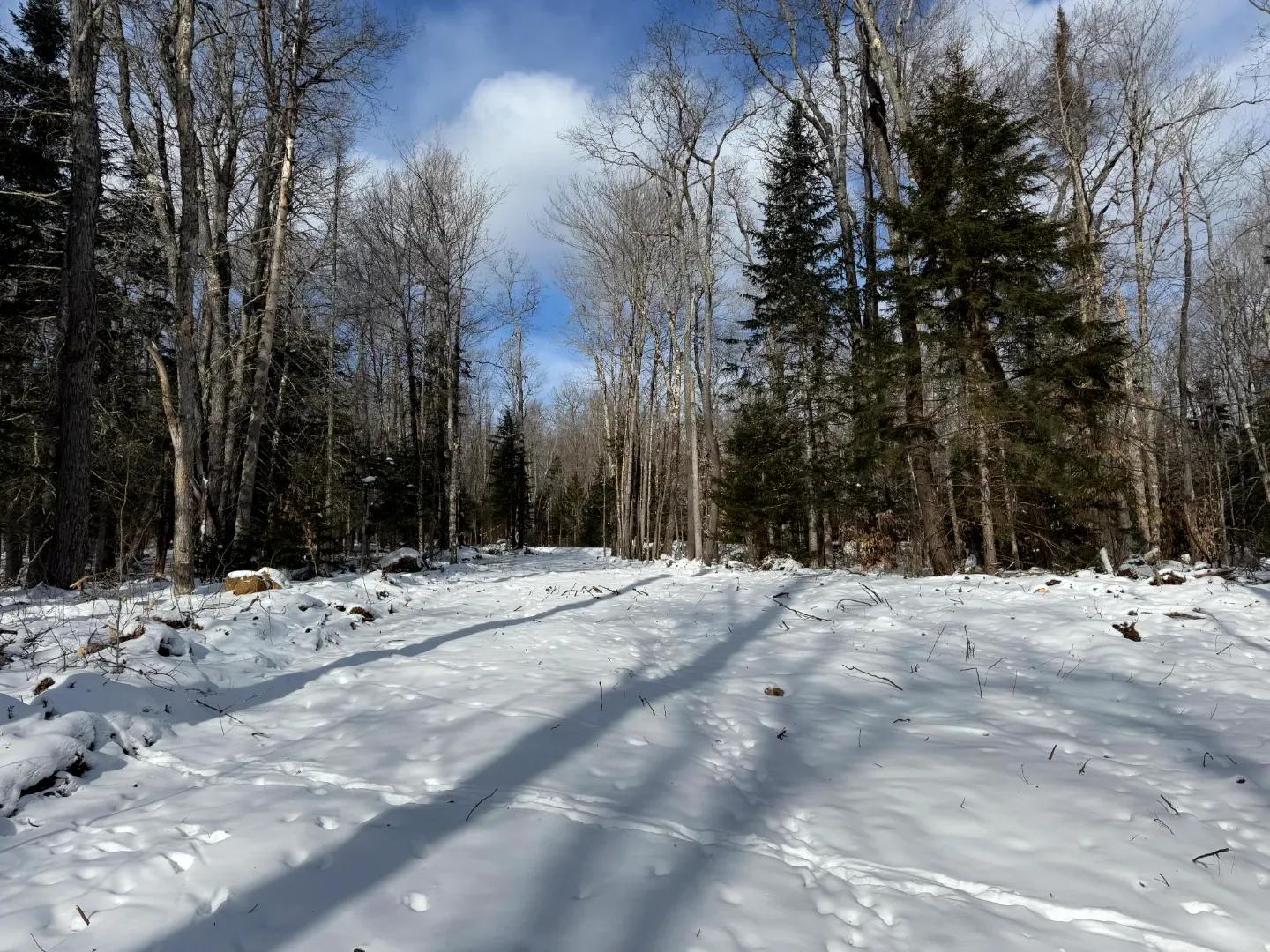 Cedar River Lot 2_9