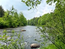 cedar-river-lot-2-lg-1