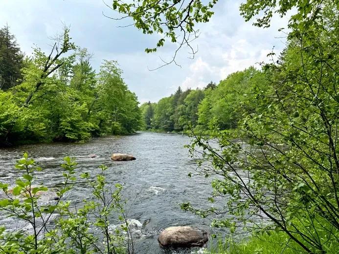 cedar-river-lot-2-lg-1
