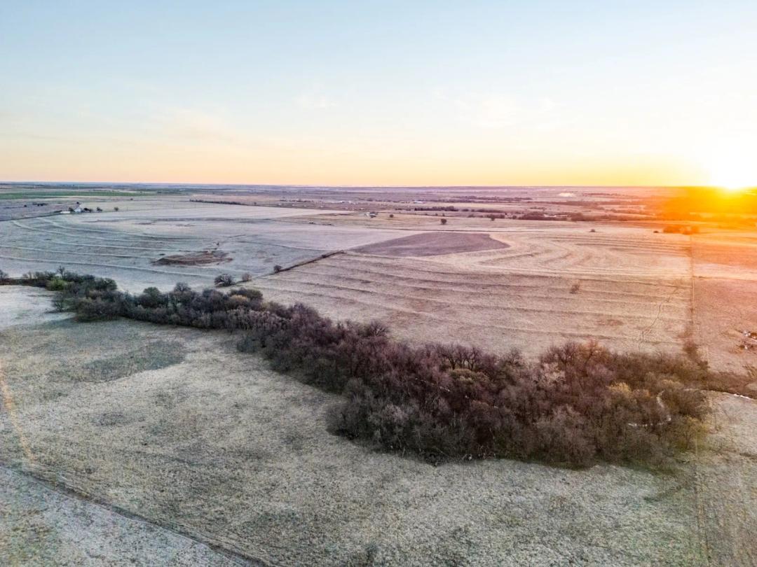 Cottonwood Creek Farm