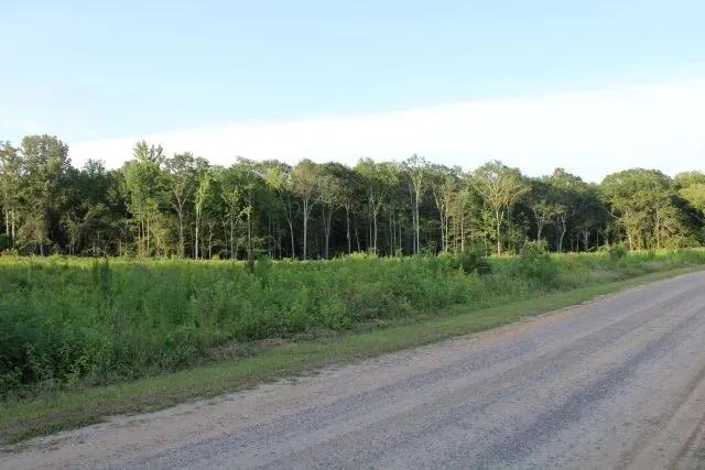 Mallard Drive North Tract