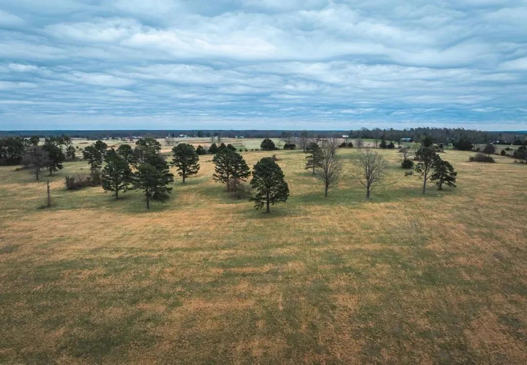 Dewitt Acres
