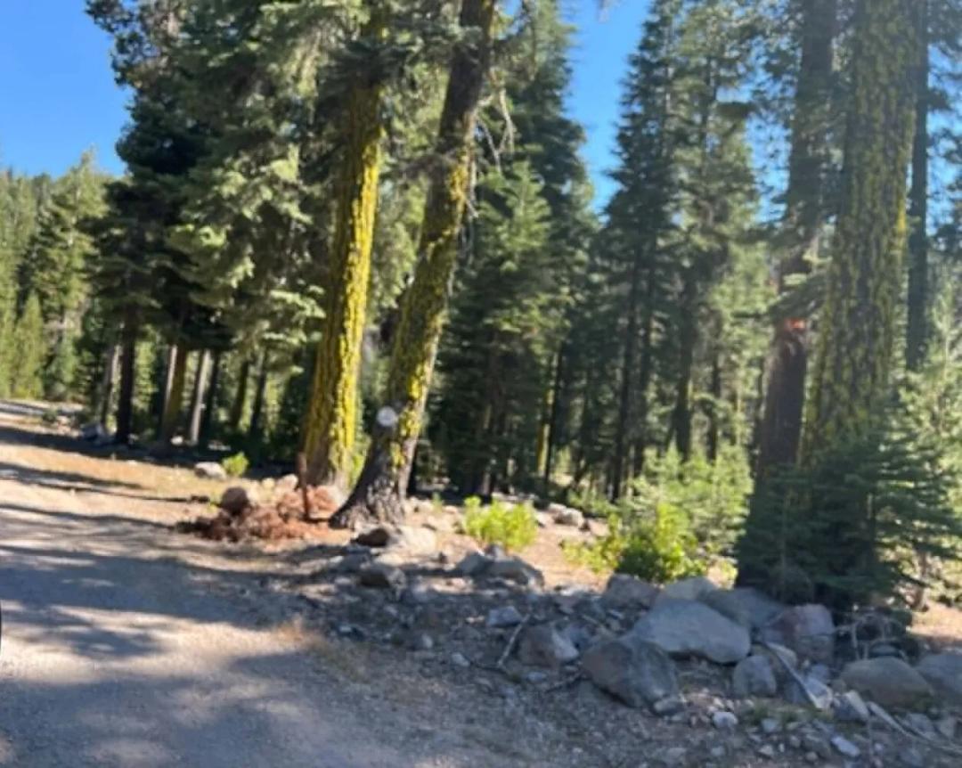 160.00 Acres at 0000 Logging Rd