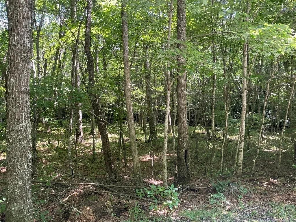 54373913-3