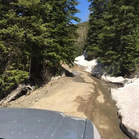 Ouray Colorado - Rare Opp. Rouville Patented Mining Claim - 10 Acred Treed Mountain land