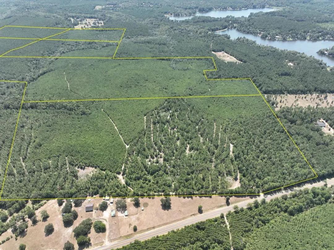 28 Acres | T-6 | County Road 3230