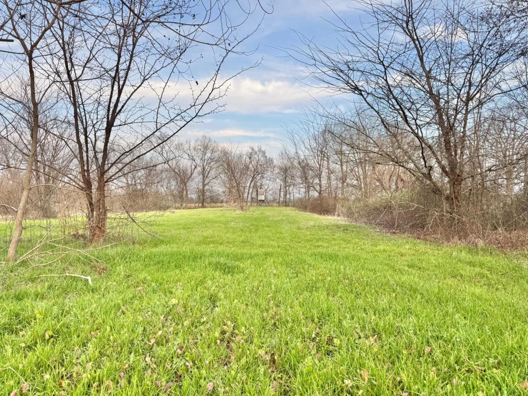 160 acre+/- Hunting and Recreation Property On Turkey Creek