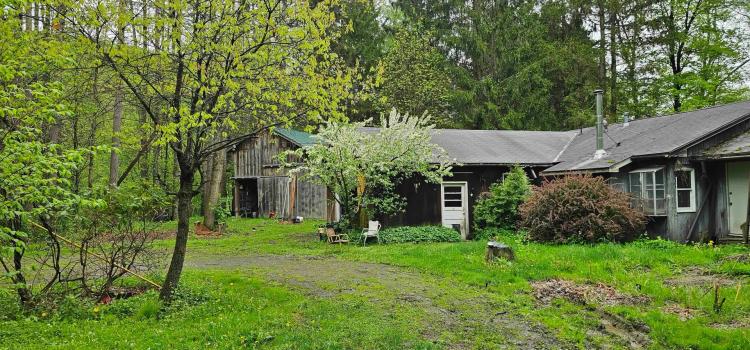 House with Barn on 16 acres bordering Owego Creek in Richford NY 210 NY-79
