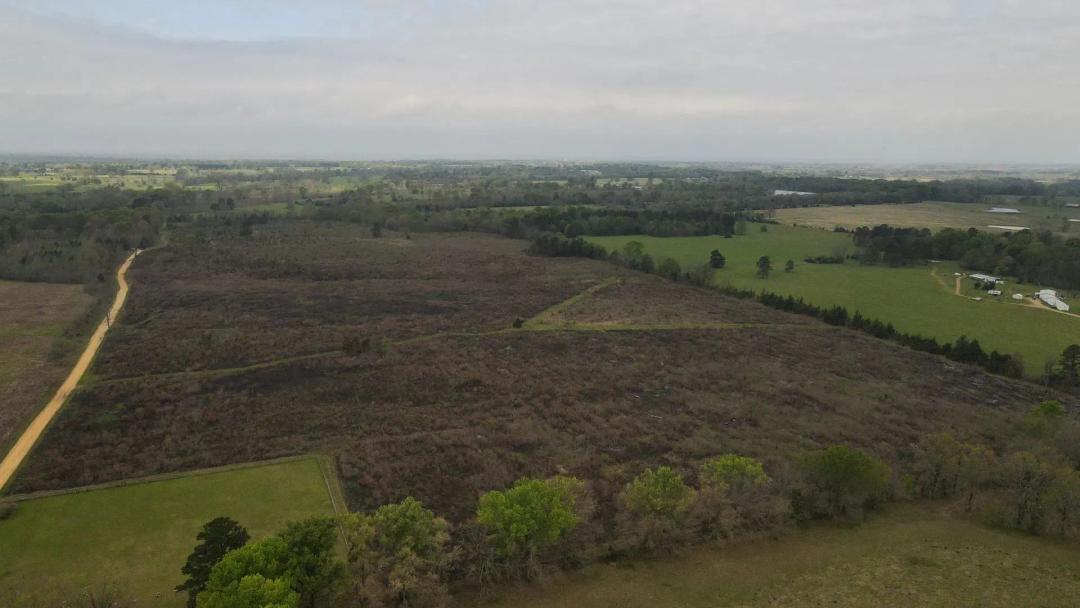 78 Acres in Hempstead County, AR