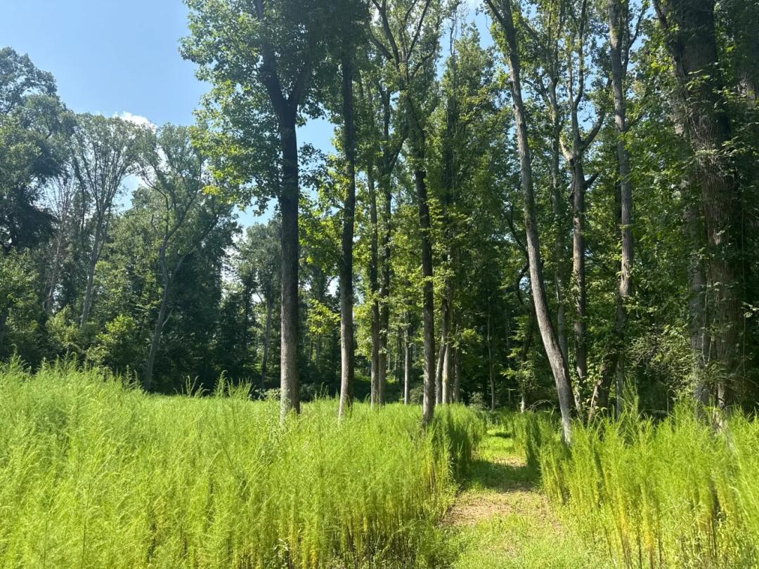 37.00 Acres at 123 SOUTHERN ROAD