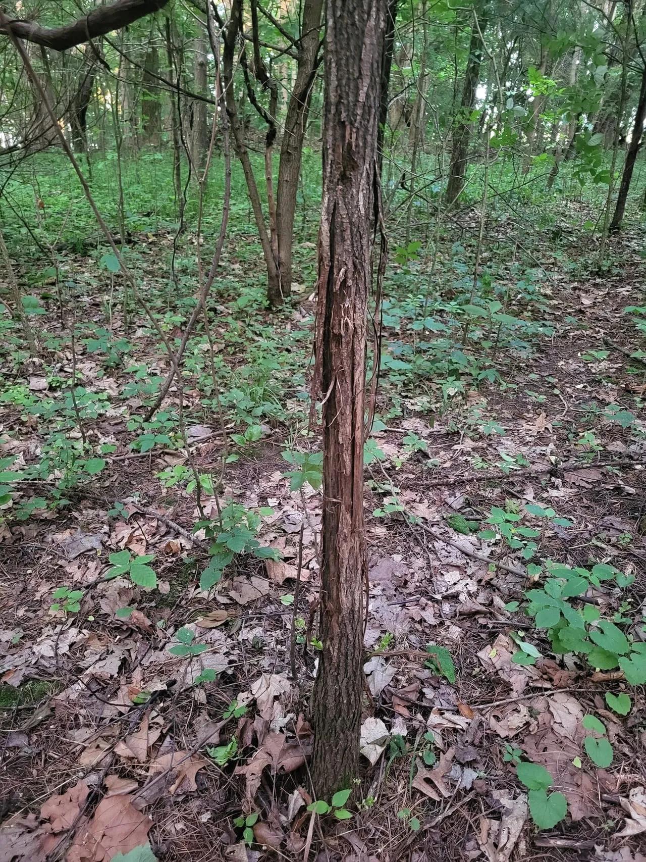 54441803-46