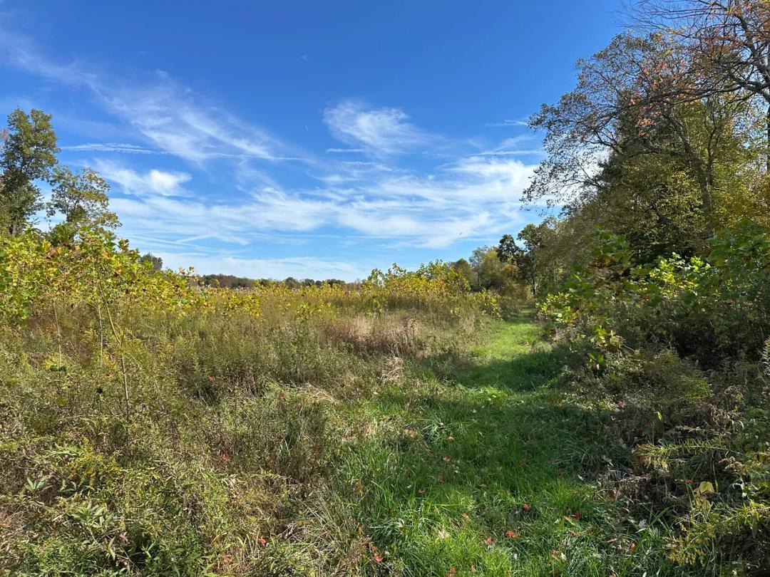 Lick Creek 136
