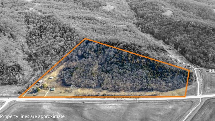 28.5± Acre Recreational or Residential Property with Mississippi River Views for Sale – Calhoun County