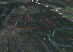 54537004-19